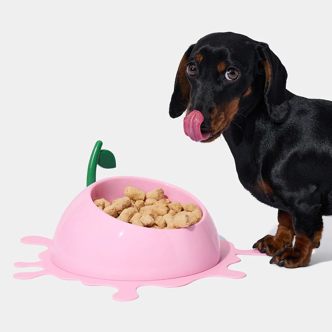 Juicy Peach Pet Bowl, Spoon & Mat Set