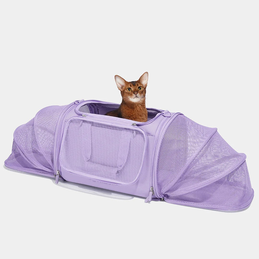 Violet Voyage Pet Carrier