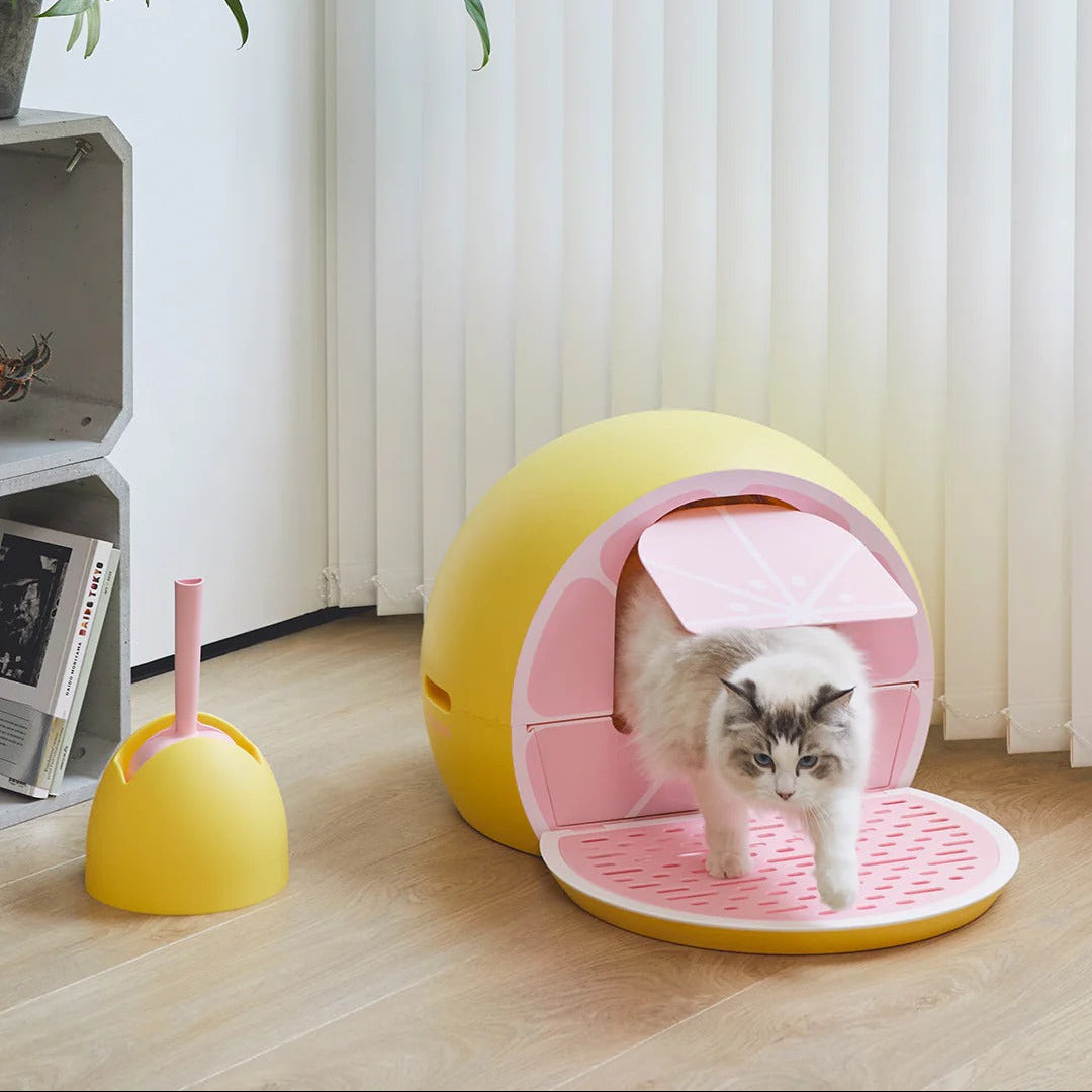 Grapefruit Kitty Kove