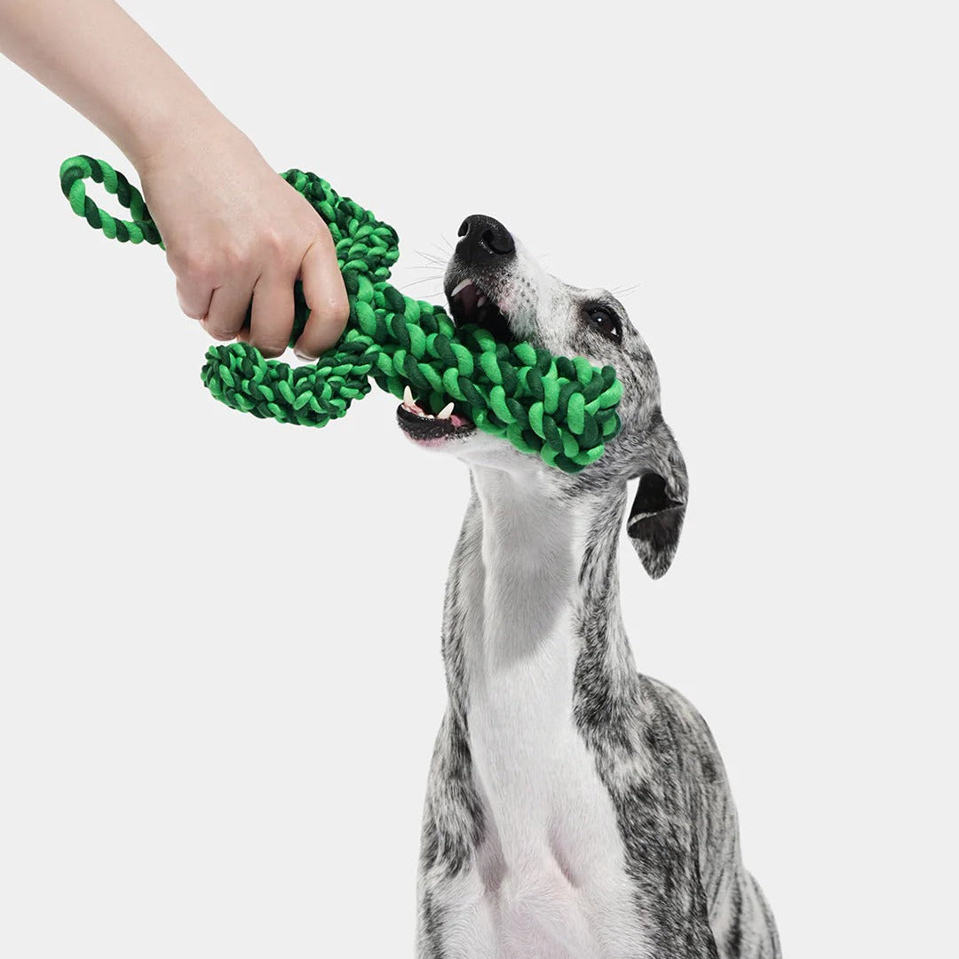 Oasis Cactus Knot Rope Toy