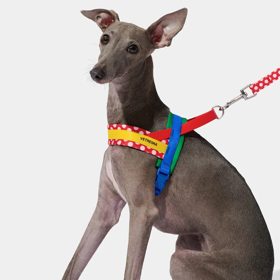 Chroma Pet Harness & Leash Set (Red)