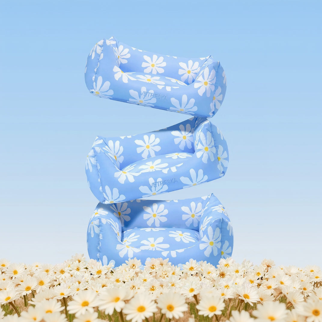 Daisy Pet Sofa