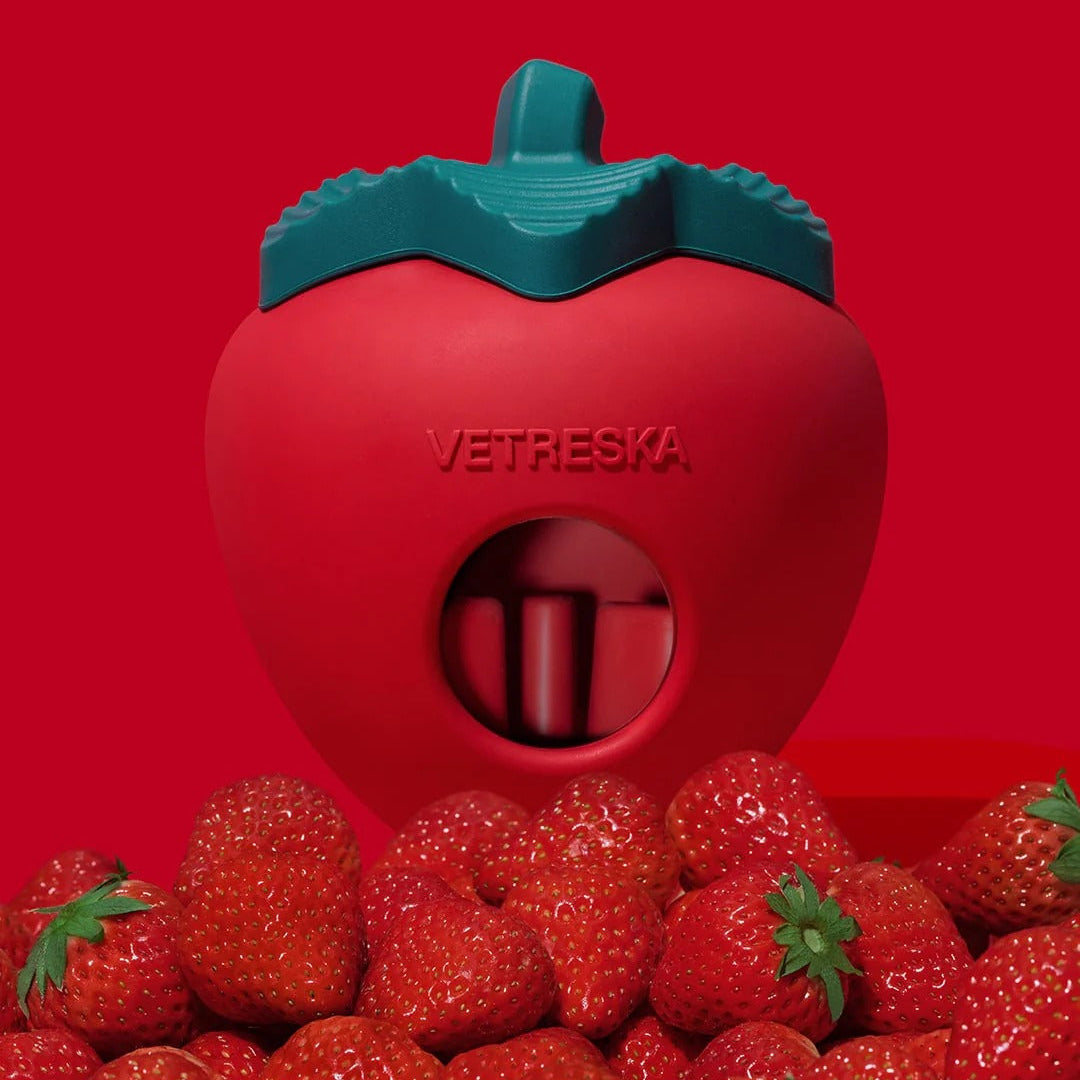 Strawberry Pet Treat Dispensing Toy