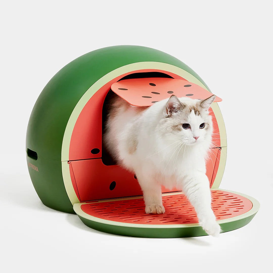 Watermelon Kitty Kove