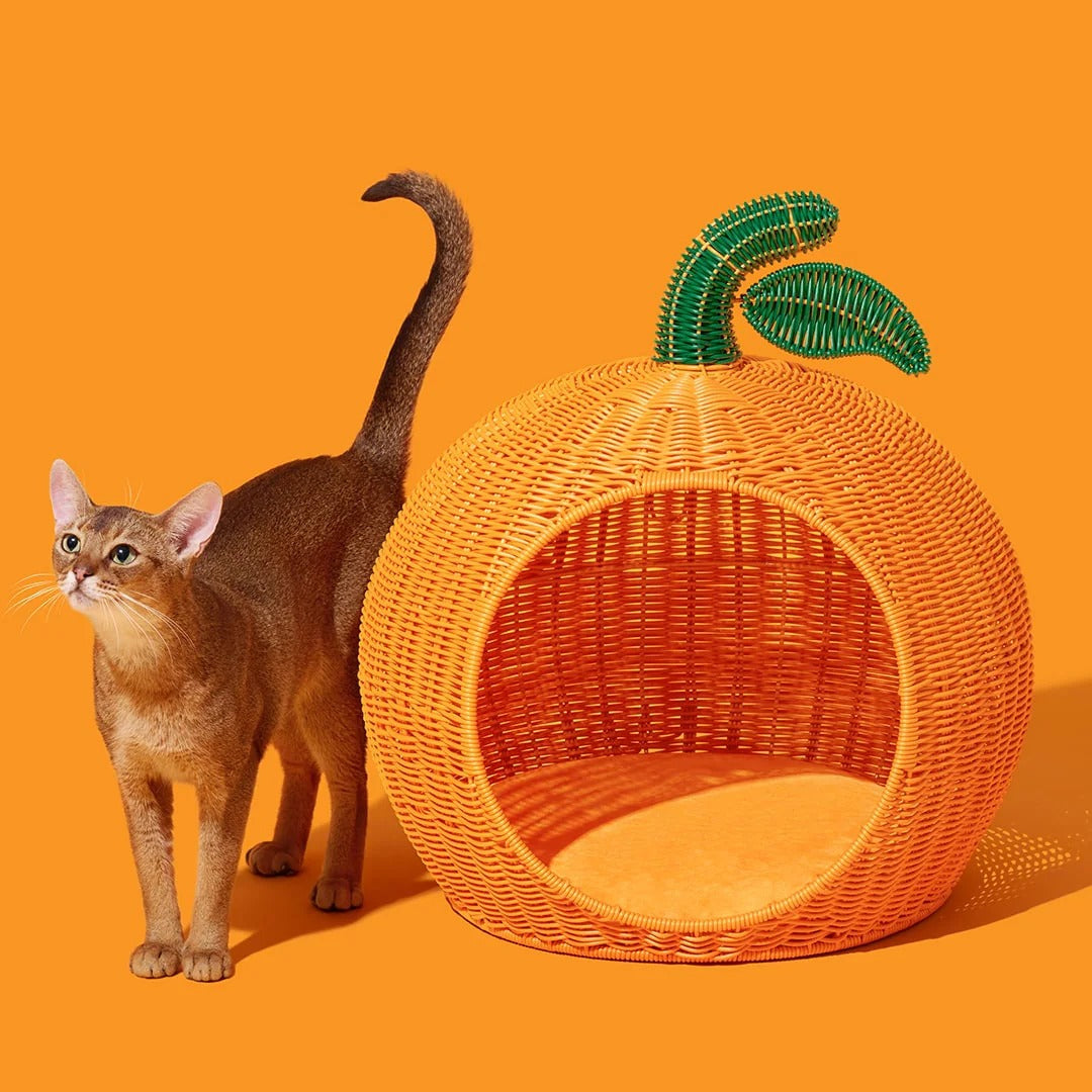 Tangerine Rattan Pet Bed