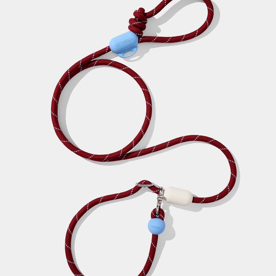 Connect Multifunction Hands-Free Rope Leash For Pets