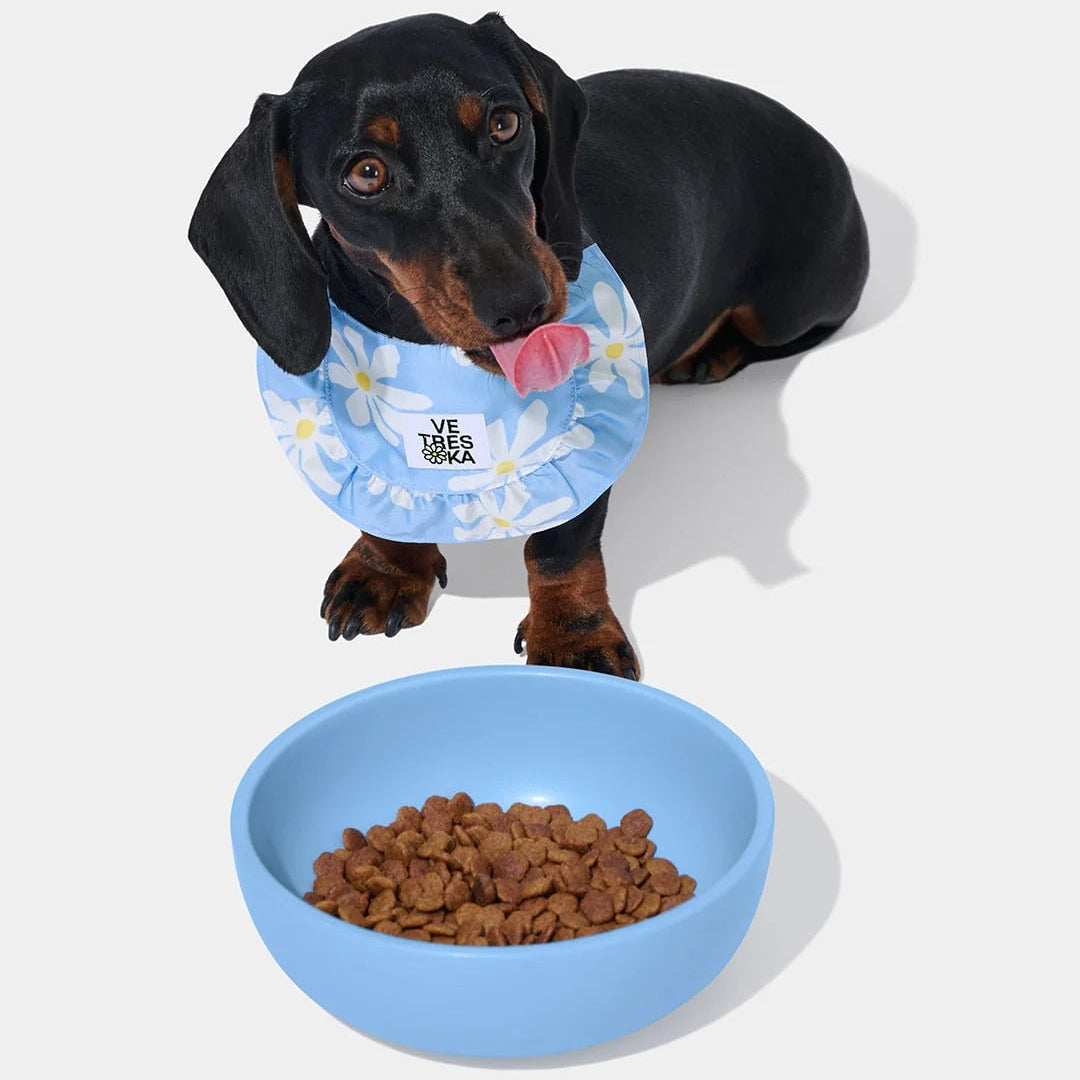 Daisy Pet Bib