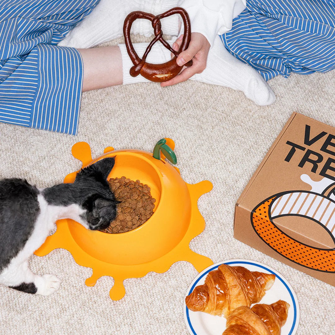 Juicy Tangerine Pet Bowl Spoon & Mat Set